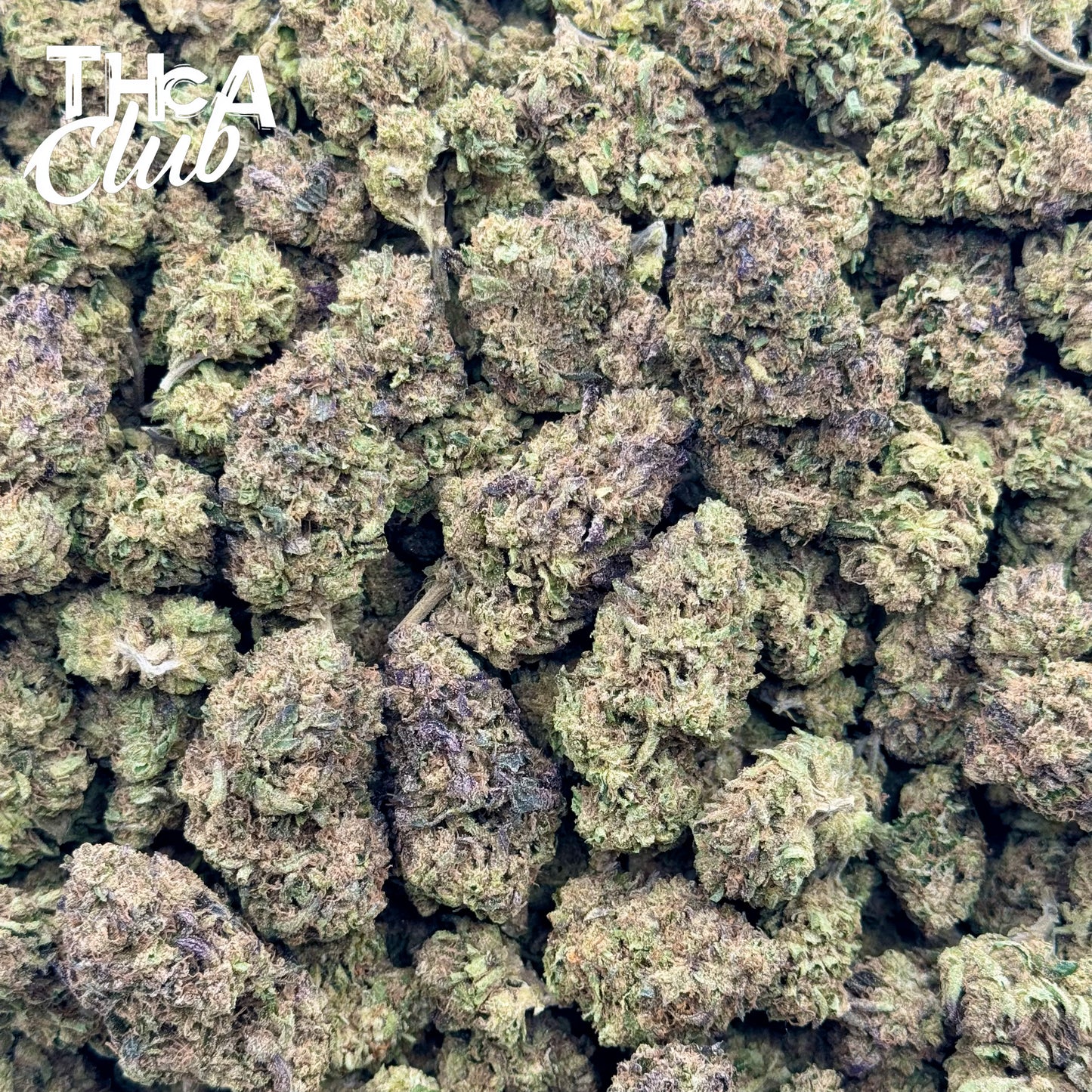 Gumbo - PREMIUM THCA Flower