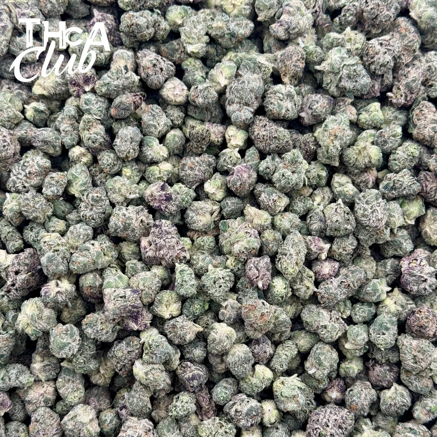 67 Runtz - PREMIUM THCA FLOWER