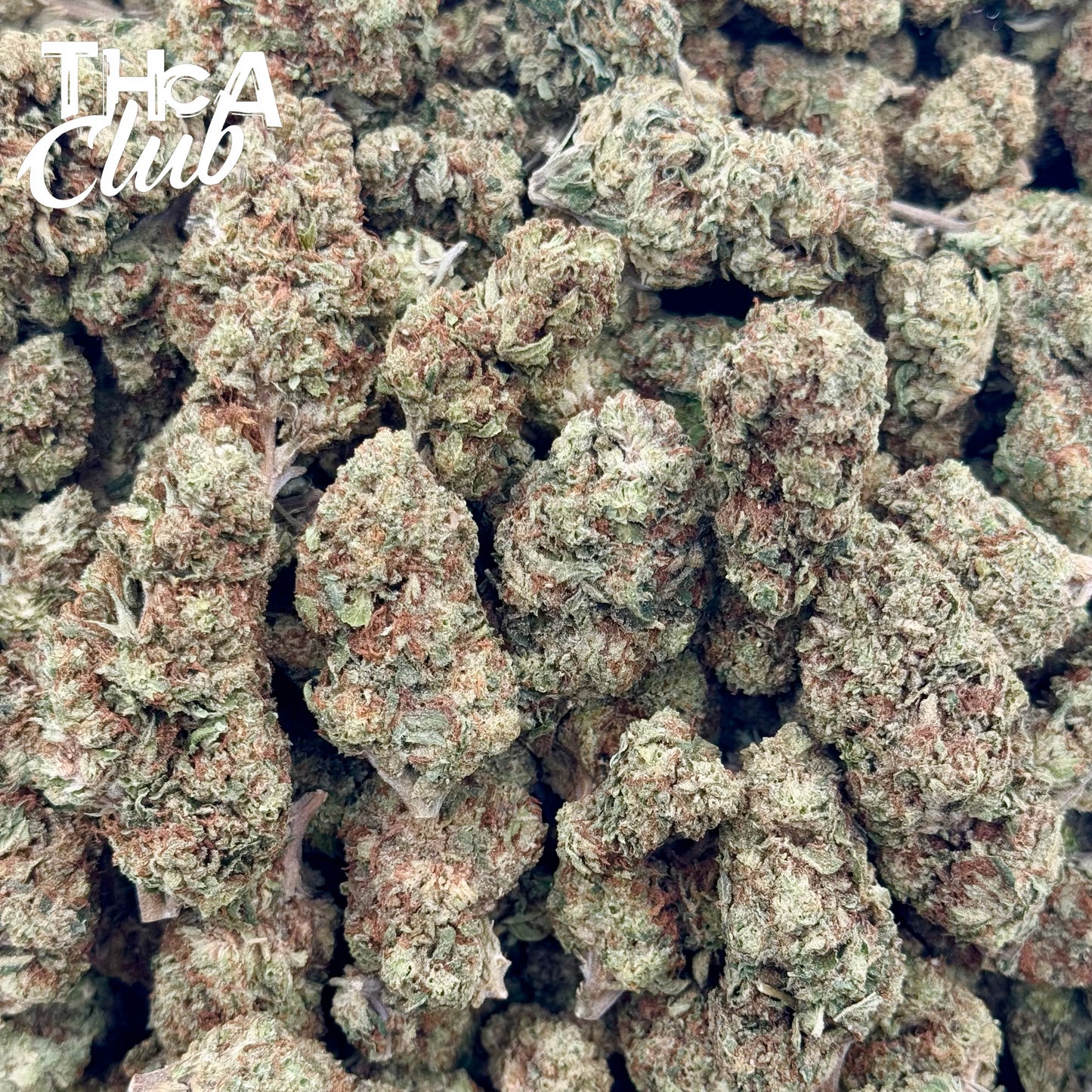 Galactic Gummiez - PREMIUM THCA FLOWER