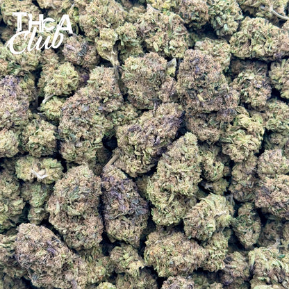 Gumbo - PREMIUM THCA Flower