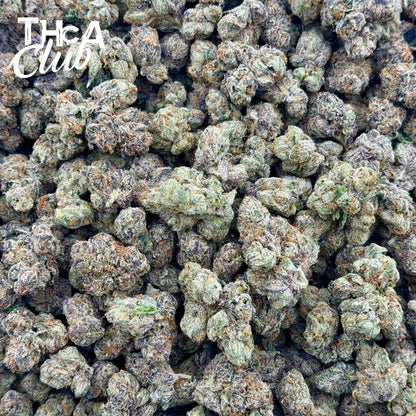 Lemon Berry Gelato - INDOOR THCA FLOWER