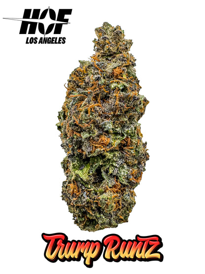 BULK - TRUMP RUNTZ - EXOTIC THCA FLOWER