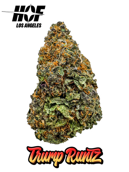 BULK - TRUMP RUNTZ - EXOTIC THCA FLOWER