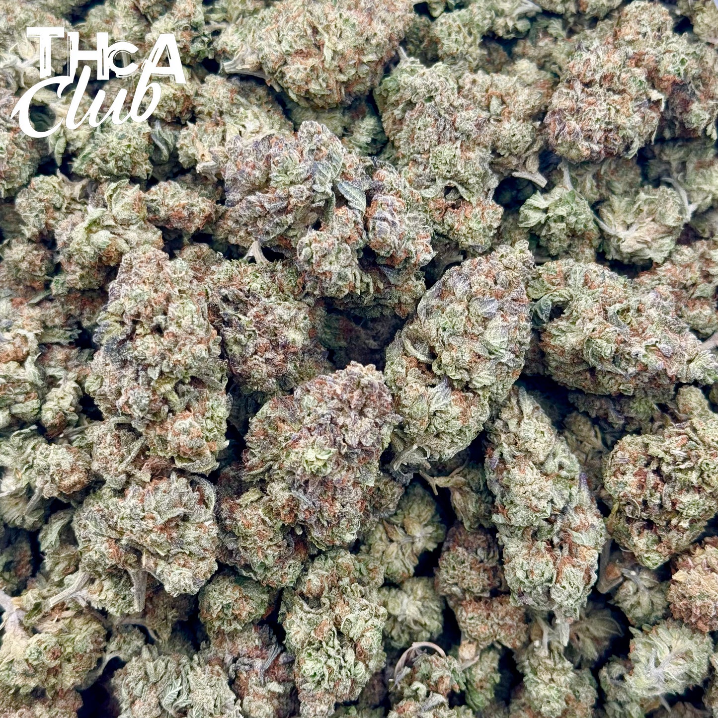 White Gummiez -  PREMIUM THCA Flower