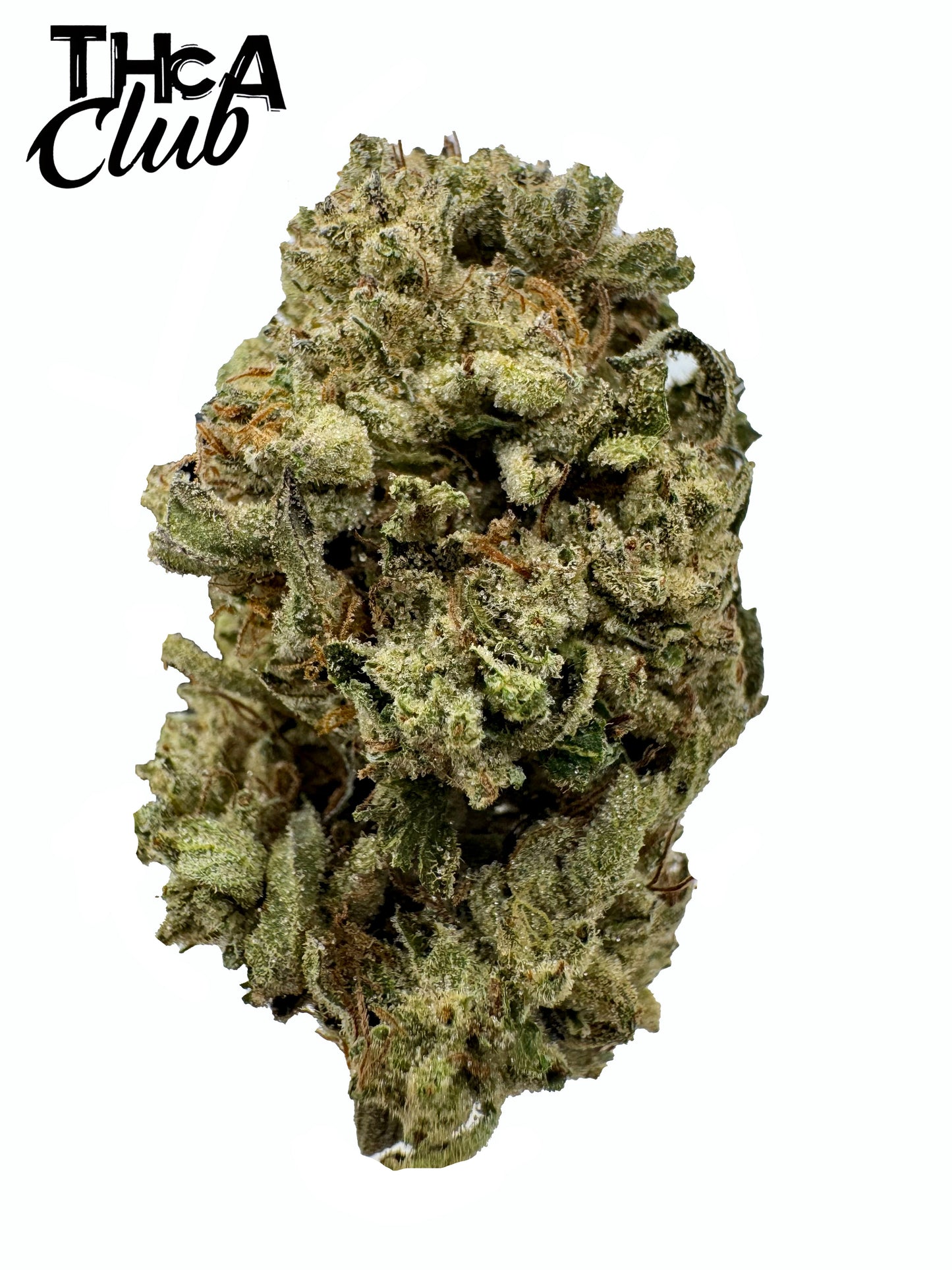 Zalato - PREMIUM THCA Flower