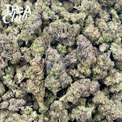 Zalato - PREMIUM THCA Flower