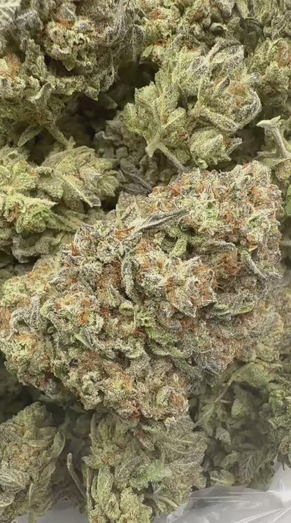 VERSACE 28 GRAMS